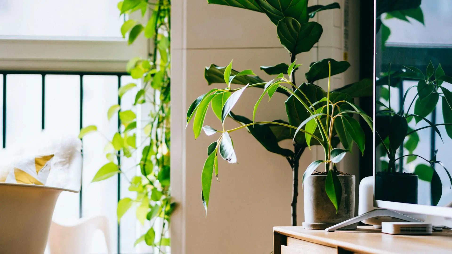 Terapia psicológica online profesional y confidencial